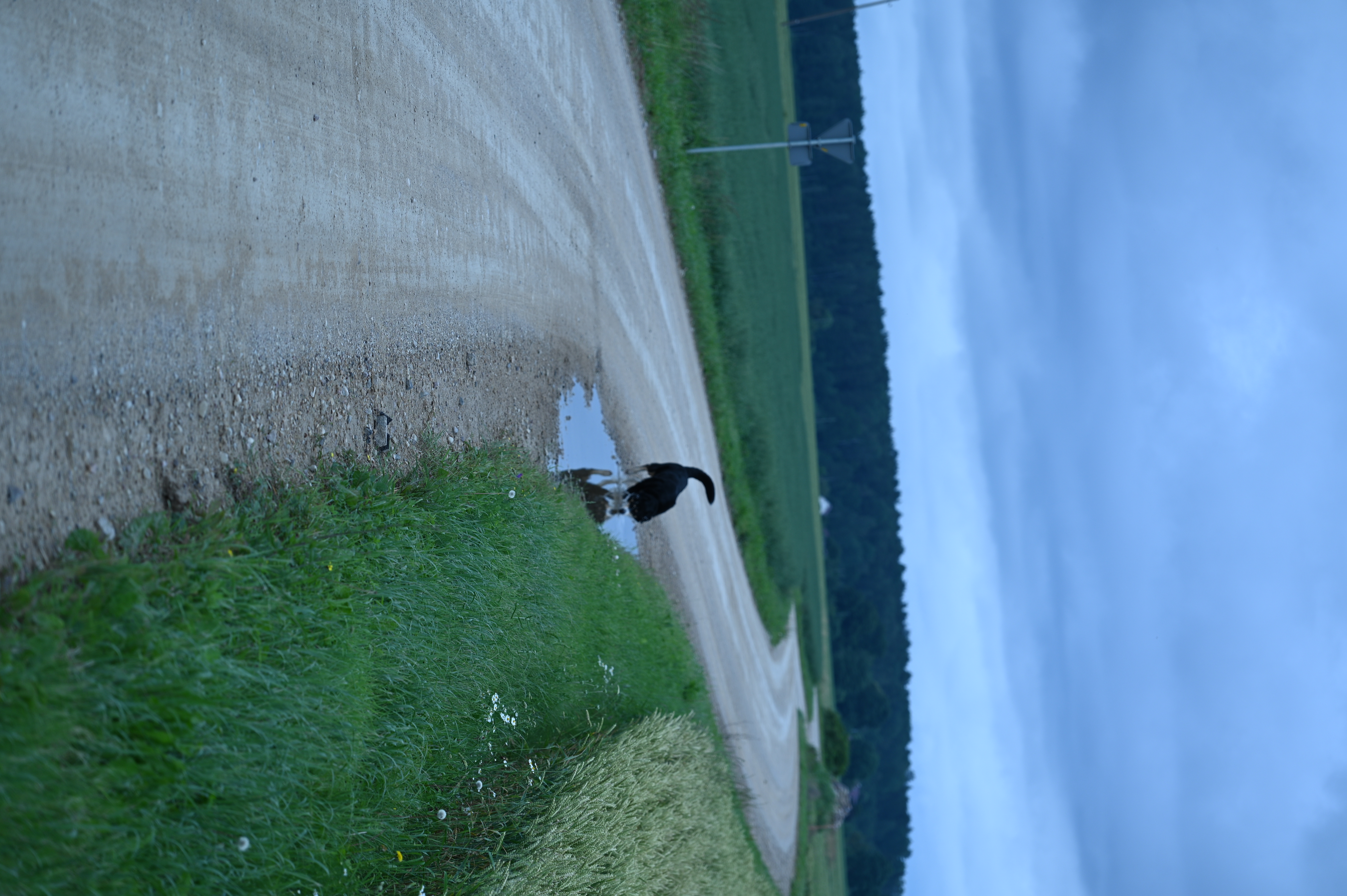 2025/07/09-14 - trip/DSC_0008.JPG